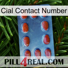 Cial Contact Number 06